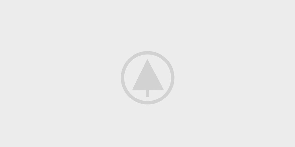 wood-gallery-placeholder-4 wood-gallery-placeholder-4
